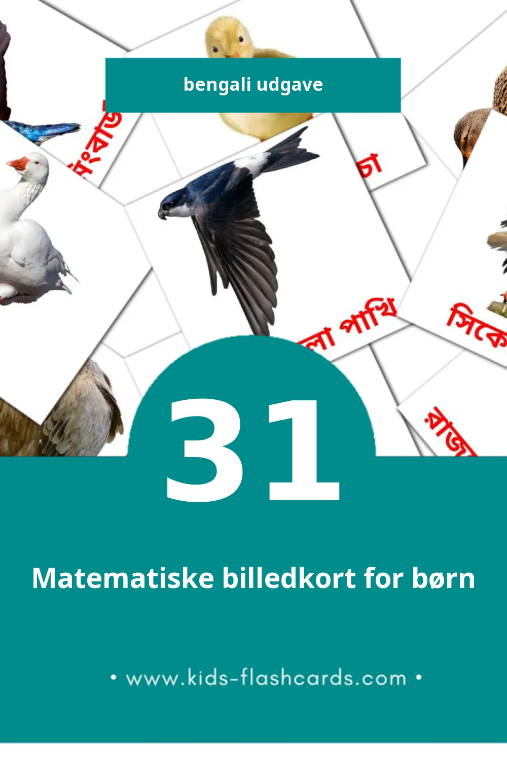 Visuelle billedkort for børn om পাখি til småbørn (31 kort på Bengali)
