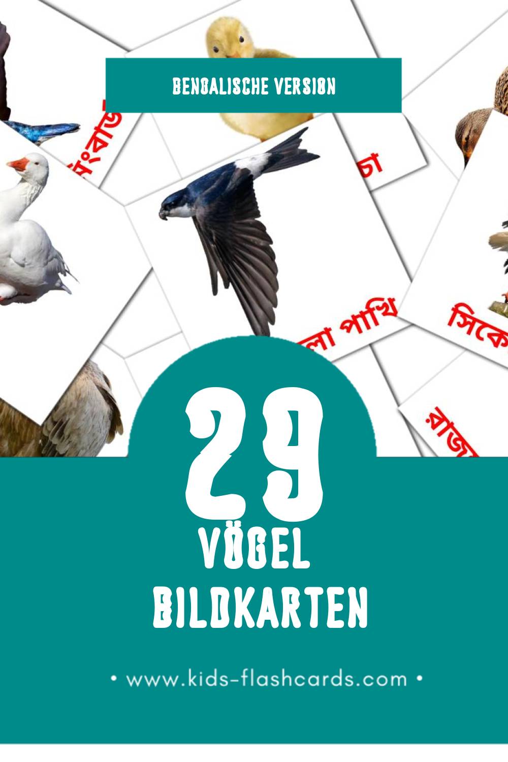 Visual পাখি Flashcards für Kleinkinder (29 Karten in Bengalisch)