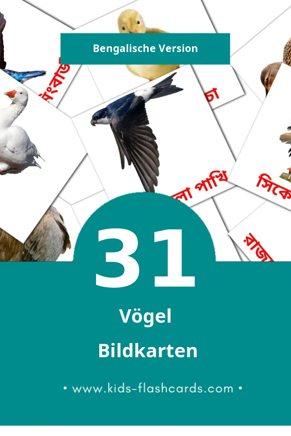 Visual পাখি Flashcards für Kleinkinder (31 Karten in Bengalisch)