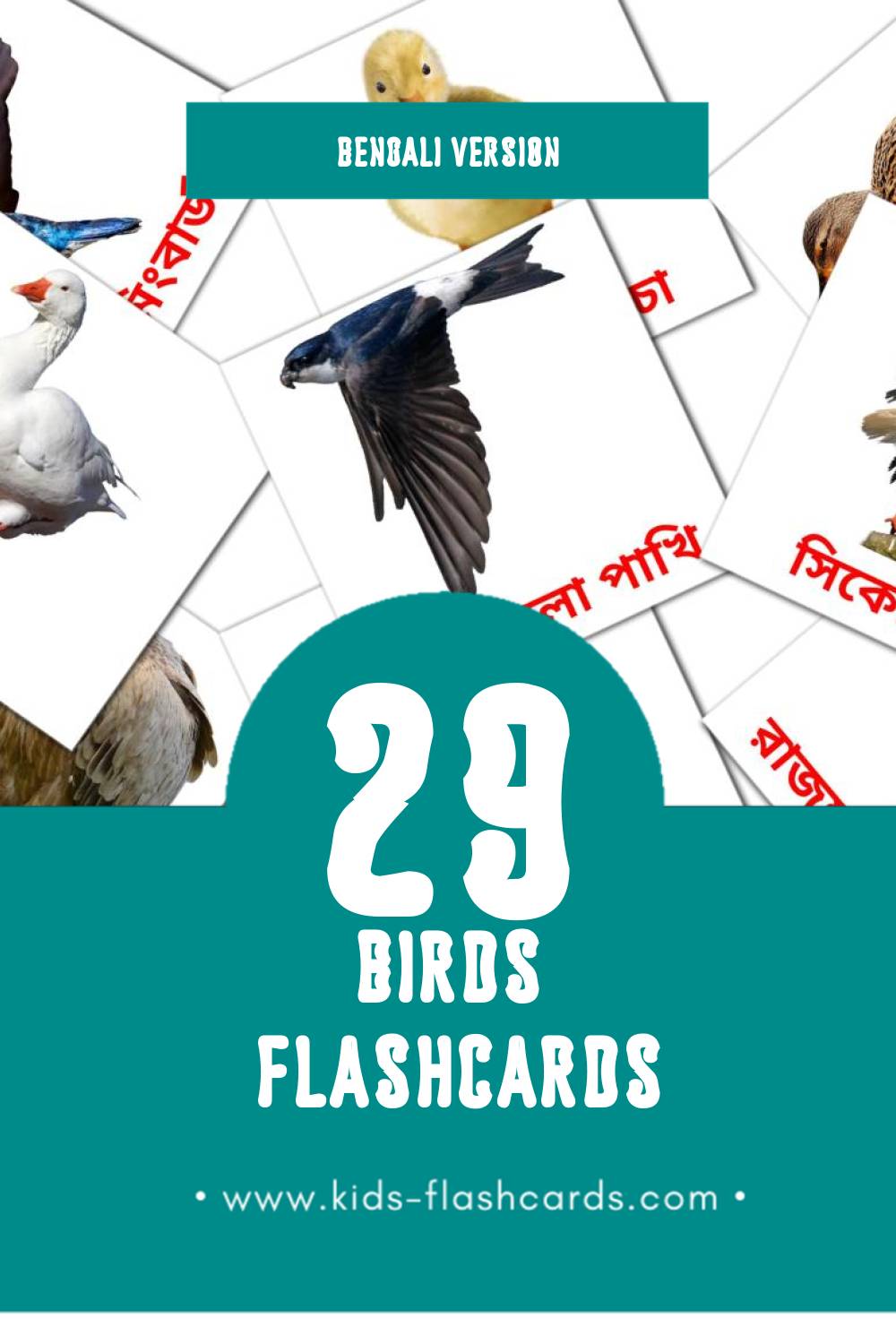 Visual পাখি Flashcards for Toddlers (29 cards in Bengali)