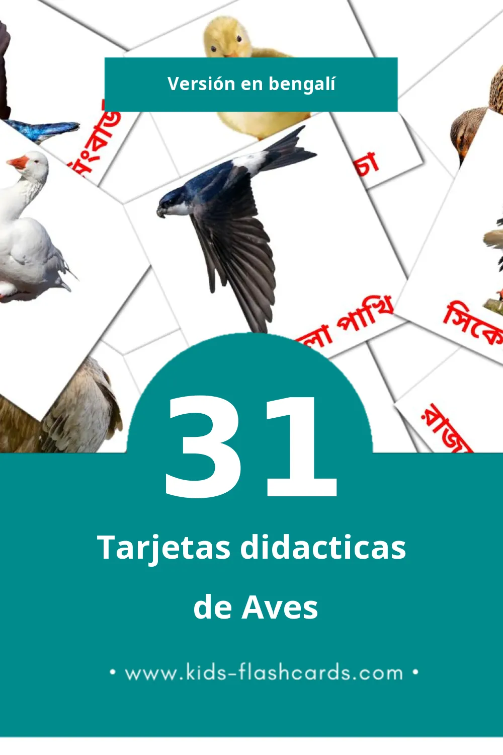 Tarjetas visuales de পাখি para niños pequeños (31 tarjetas en Bengalí)