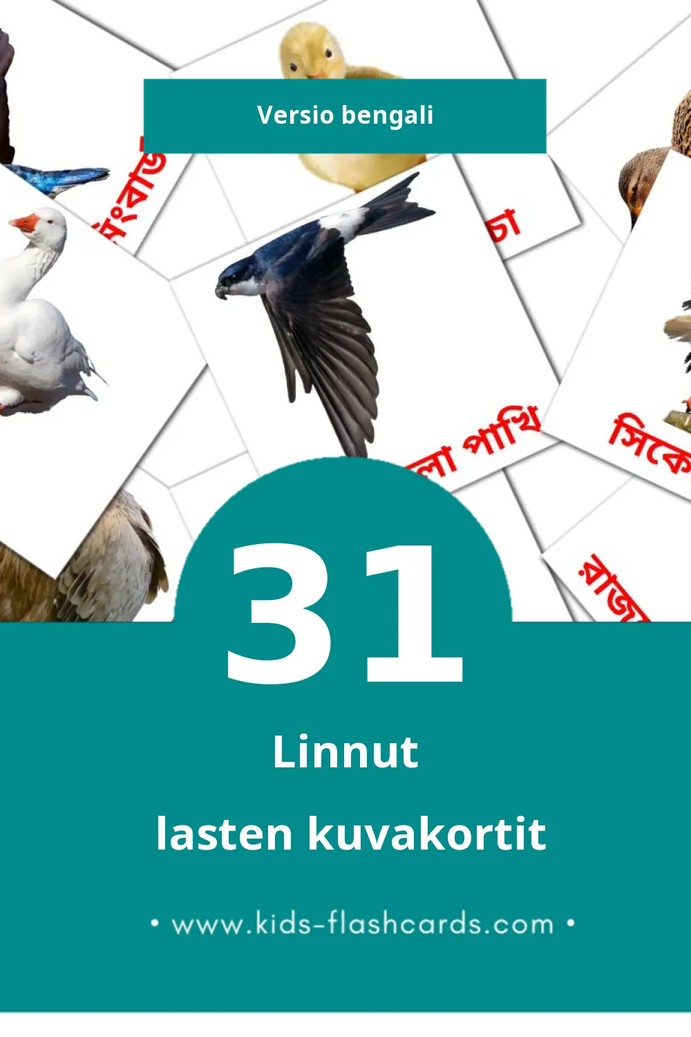 পাখি lasten kuvakortit pikkulapsille (31 korttia Bengaliksi)