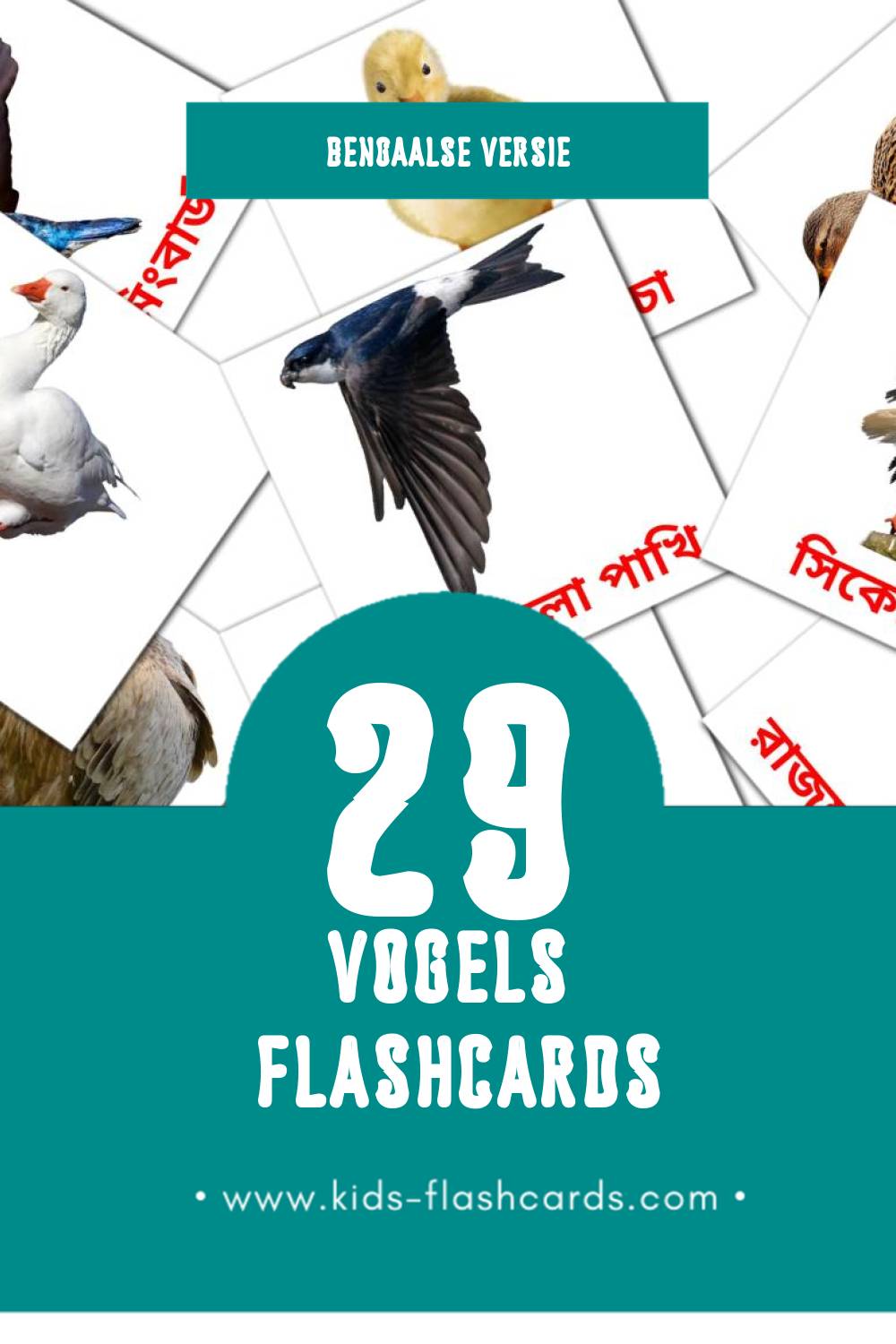 Visuele পাখি Flashcards voor Kleuters (29 kaarten in het Bengaals)