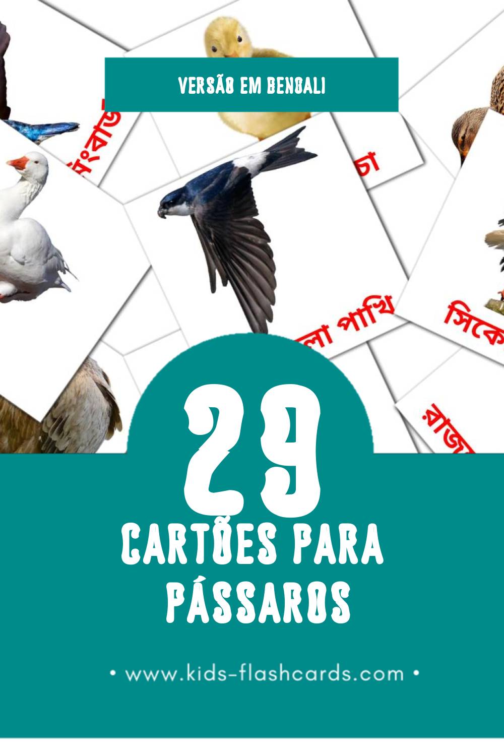 Flashcards de পাখি Visuais para Toddlers (29 cartões em Bengali)
