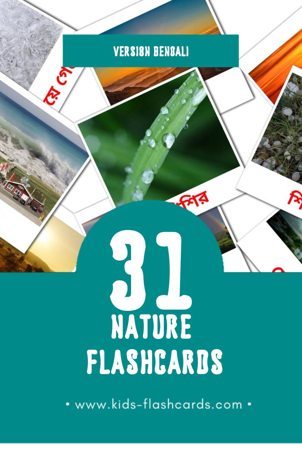 Flashcards Visual প্রকৃতি  pour les tout-petits (61 cartes en Bengali)