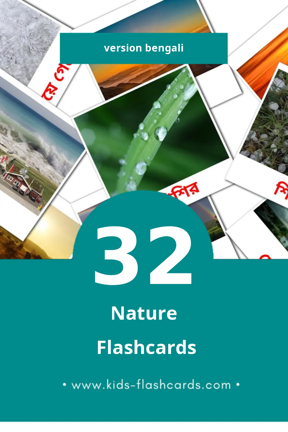 Flashcards Visual প্রকৃতি  pour les tout-petits (32 cartes en Bengali)