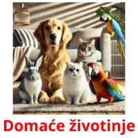 Domaće životinje карточки энциклопедических знаний