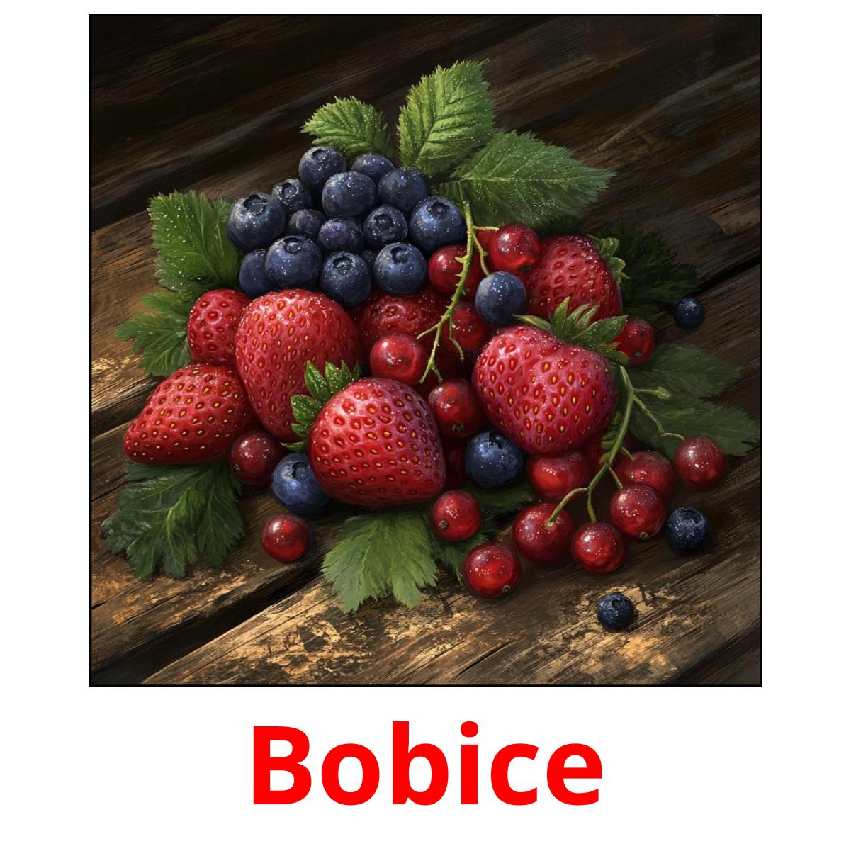 Bobice карточки энциклопедических знаний