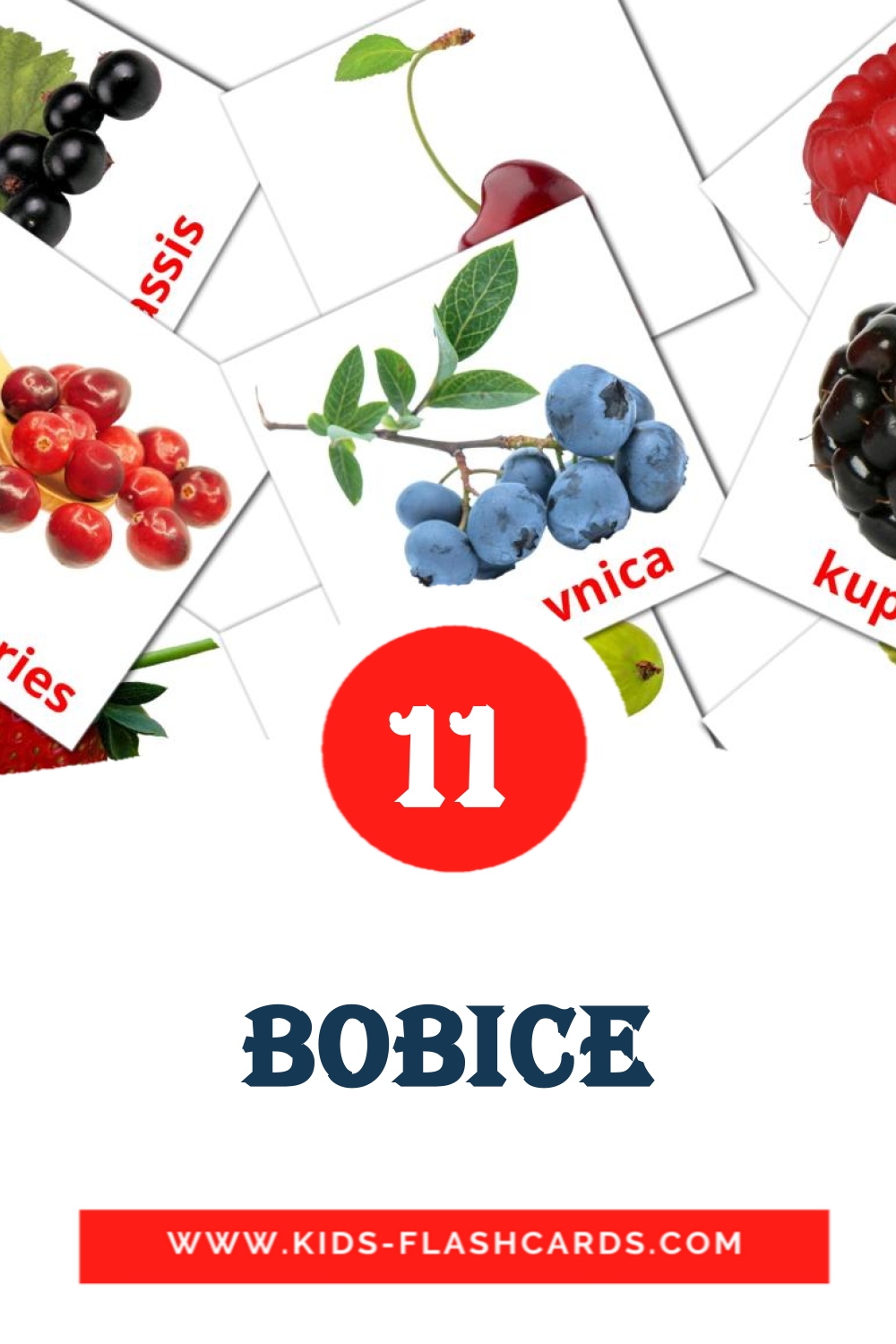 11 tarjetas didacticas de Bobice para el jardín de infancia en bosnio