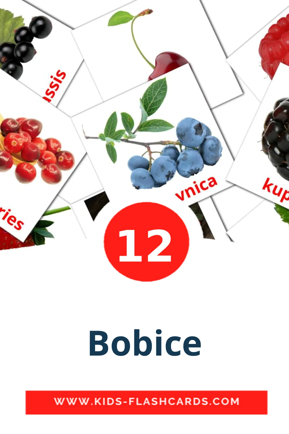 12 Bobice fotokaarten voor kleuters in het bosnisch