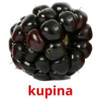 kupina picture flashcards