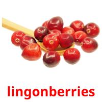 lingonberries Tarjetas didacticas