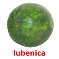 lubenica flashcards illustrate