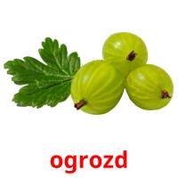 ogrozd picture flashcards