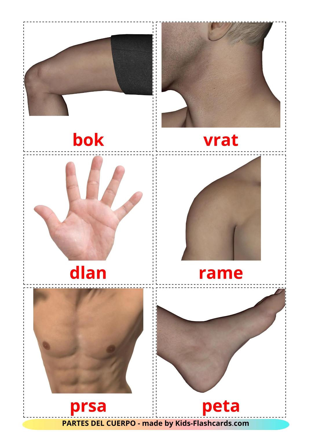 Body Parts - 26 Free Printable bosnian Flashcards