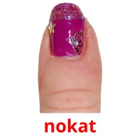 nokat picture flashcards