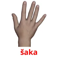šaka picture flashcards