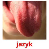 jazyk cartões com imagens