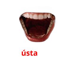 ústa card for translate