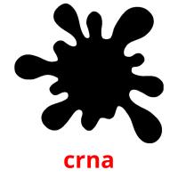 crna picture flashcards