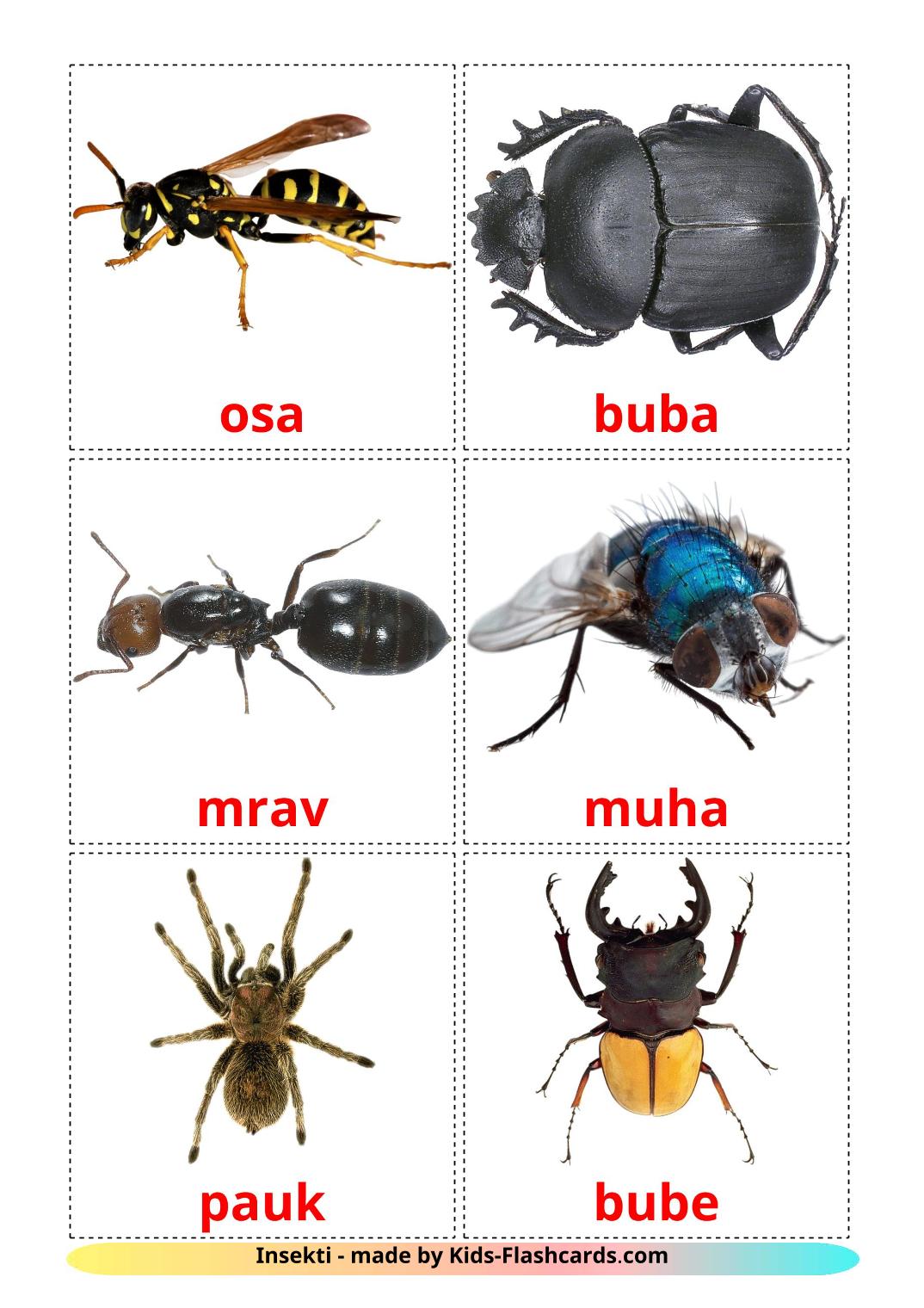 Insects - 23 Free Printable bosnian Flashcards 
