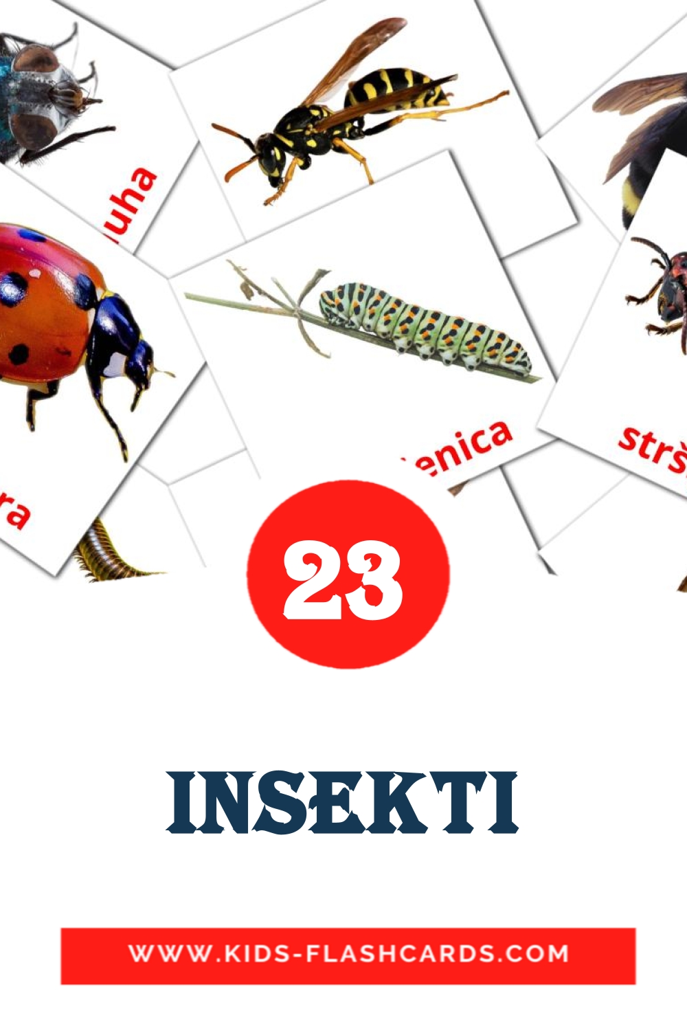 23 tarjetas didacticas de Insekti para el jardín de infancia en bosnio