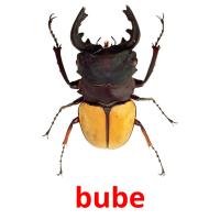 bube picture flashcards
