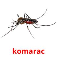 komarac flashcards illustrate
