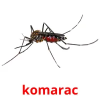 komarac карточки энциклопедических знаний