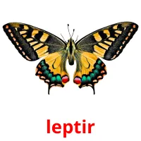 leptir карточки энциклопедических знаний