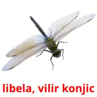 libela, vilir konjic карточки энциклопедических знаний