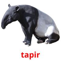 tapir Tarjetas didacticas