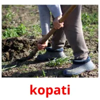 kopati карточки энциклопедических знаний