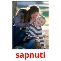 sapnuti карточки энциклопедических знаний