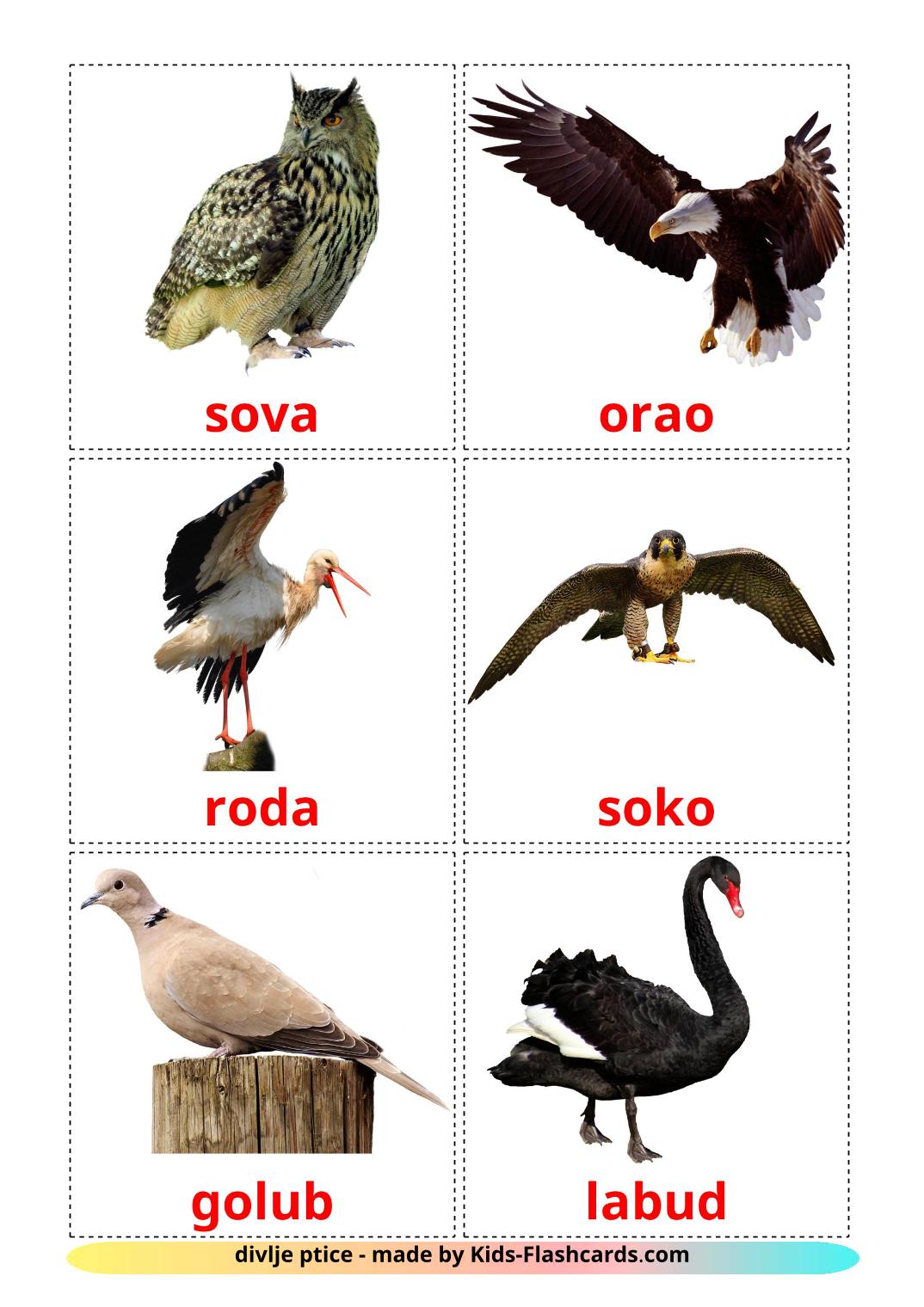 Les Oiseaux Sauvages - 18 Flashcards bosniaque imprimables gratuitement