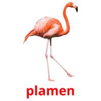 plamen flashcards illustrate