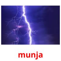 munja picture flashcards