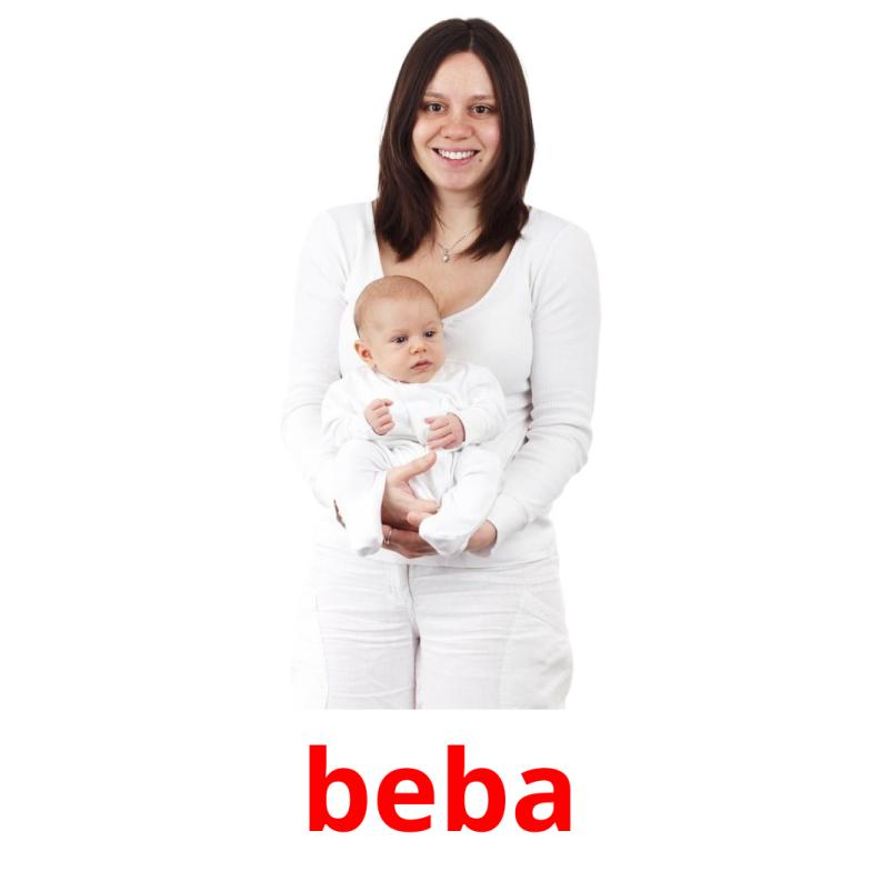 beba picture flashcards