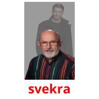 svekra picture flashcards