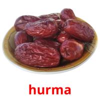 hurma picture flashcards