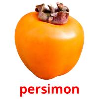 persimon card for translate