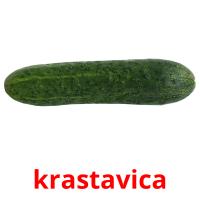 krastavica card for translate