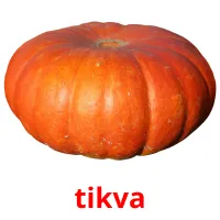 tikva ansichtkaarten