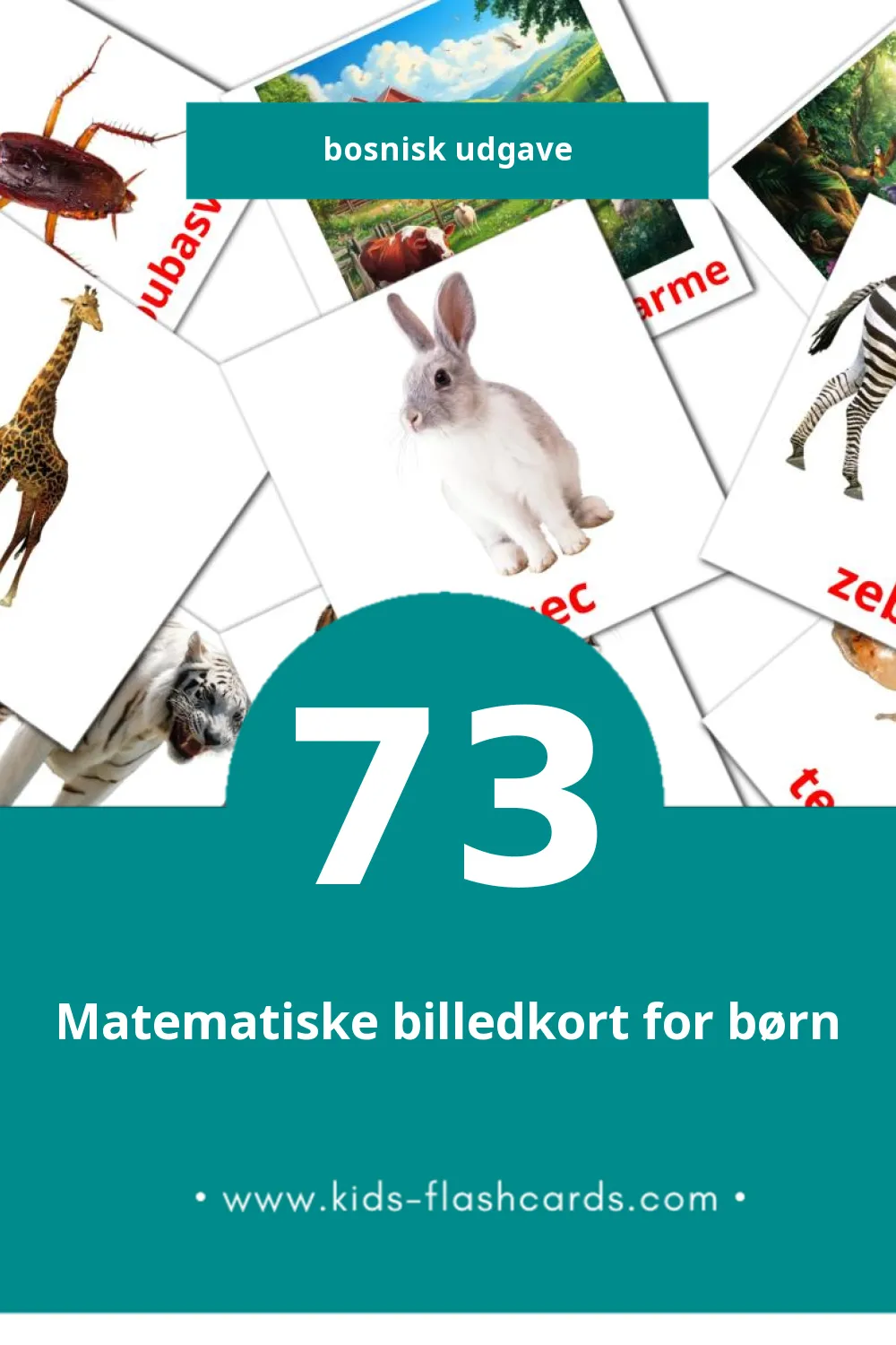 Schede visive sugli Životinje per bambini (73 schede in Bosnisk)