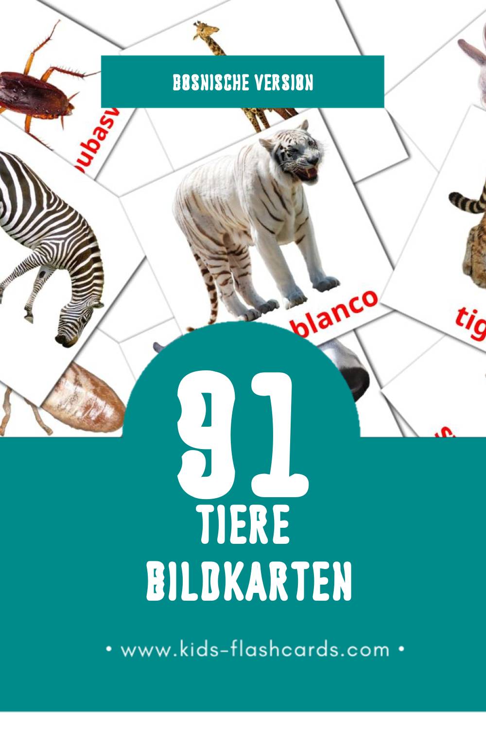 Visuele Životinje Flashcards voor Kleuters (69 kaarten in het Bosnisch)