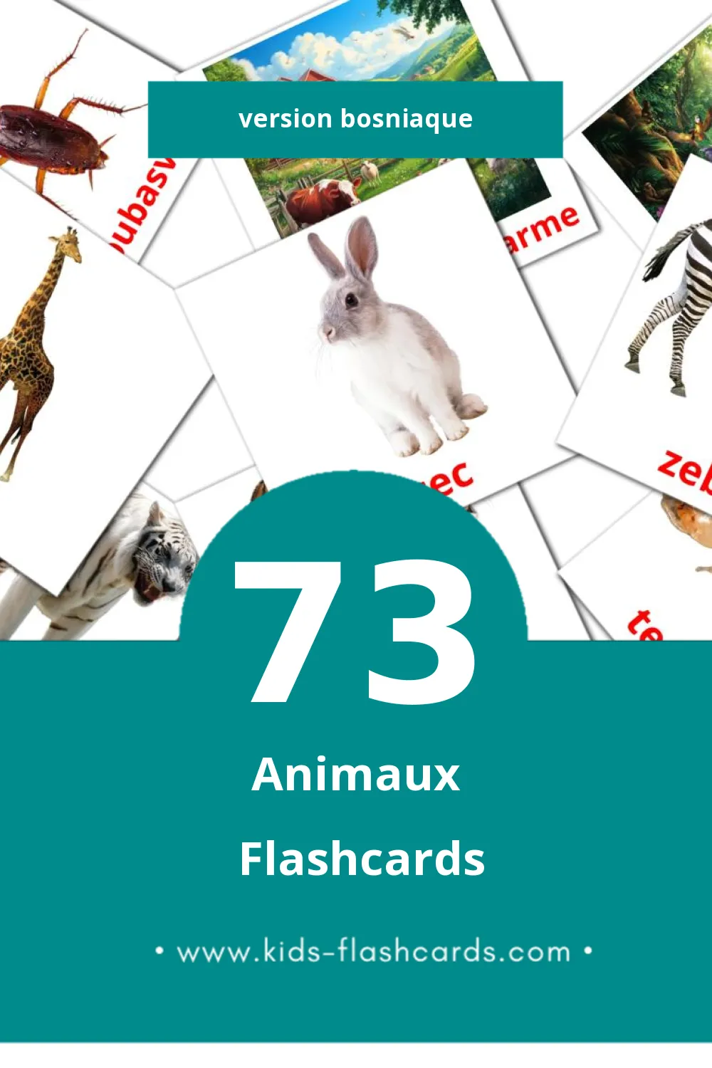 Flashcards Visual Životinje pour les tout-petits (73 cartes en Bosniaque)