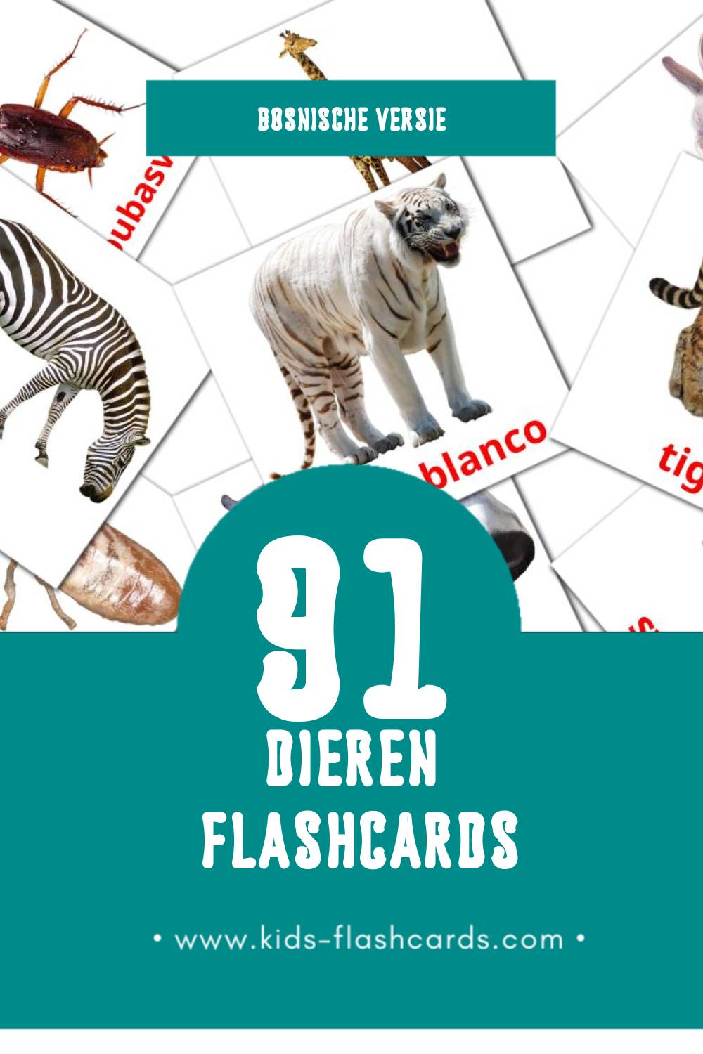 Visuele Životinje Flashcards voor Kleuters (69 kaarten in het Bosnisch)