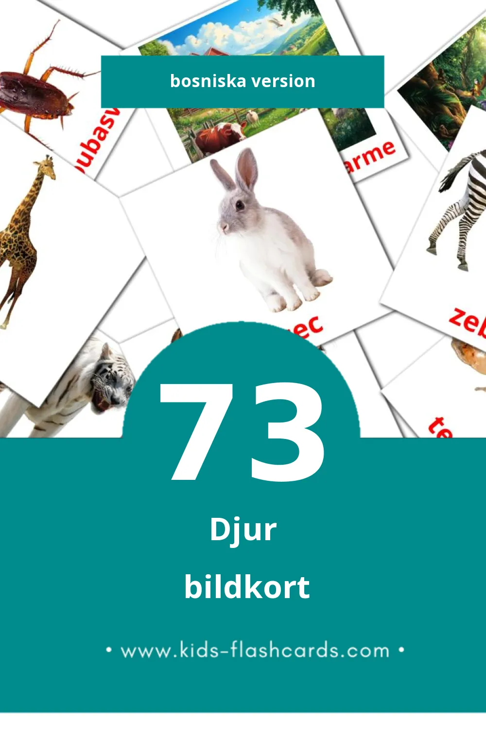 Visuella Životinje för småbarn (73 bildkort för barn på Bosniska)