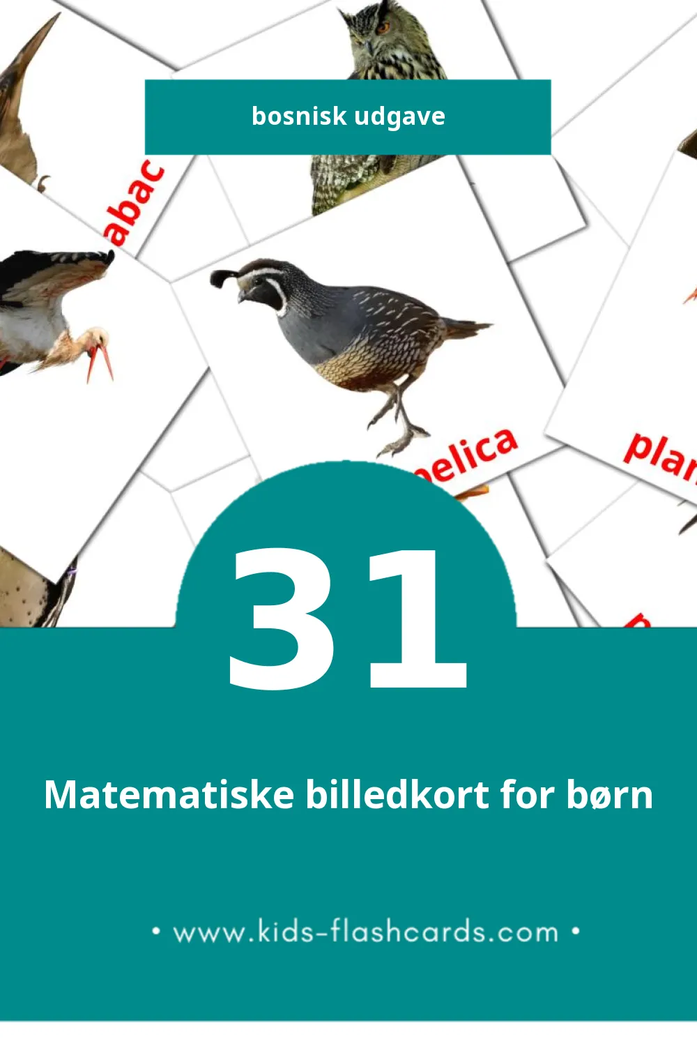 Visuelle billedkort for børn om Ptice til småbørn (31 kort på Bosnisk)