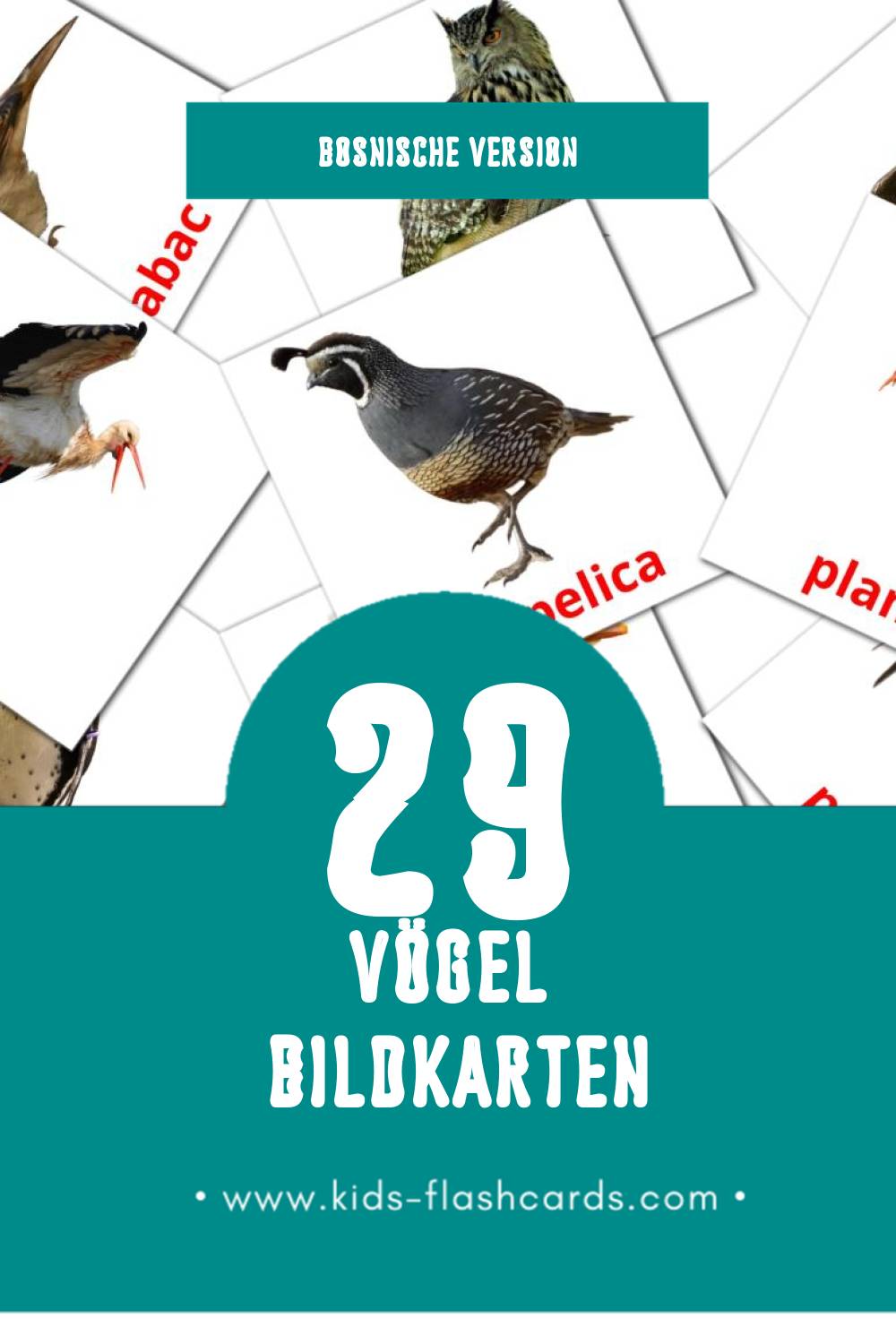 Visual Ptice Flashcards für Kleinkinder (29 Karten in Bosnisch)